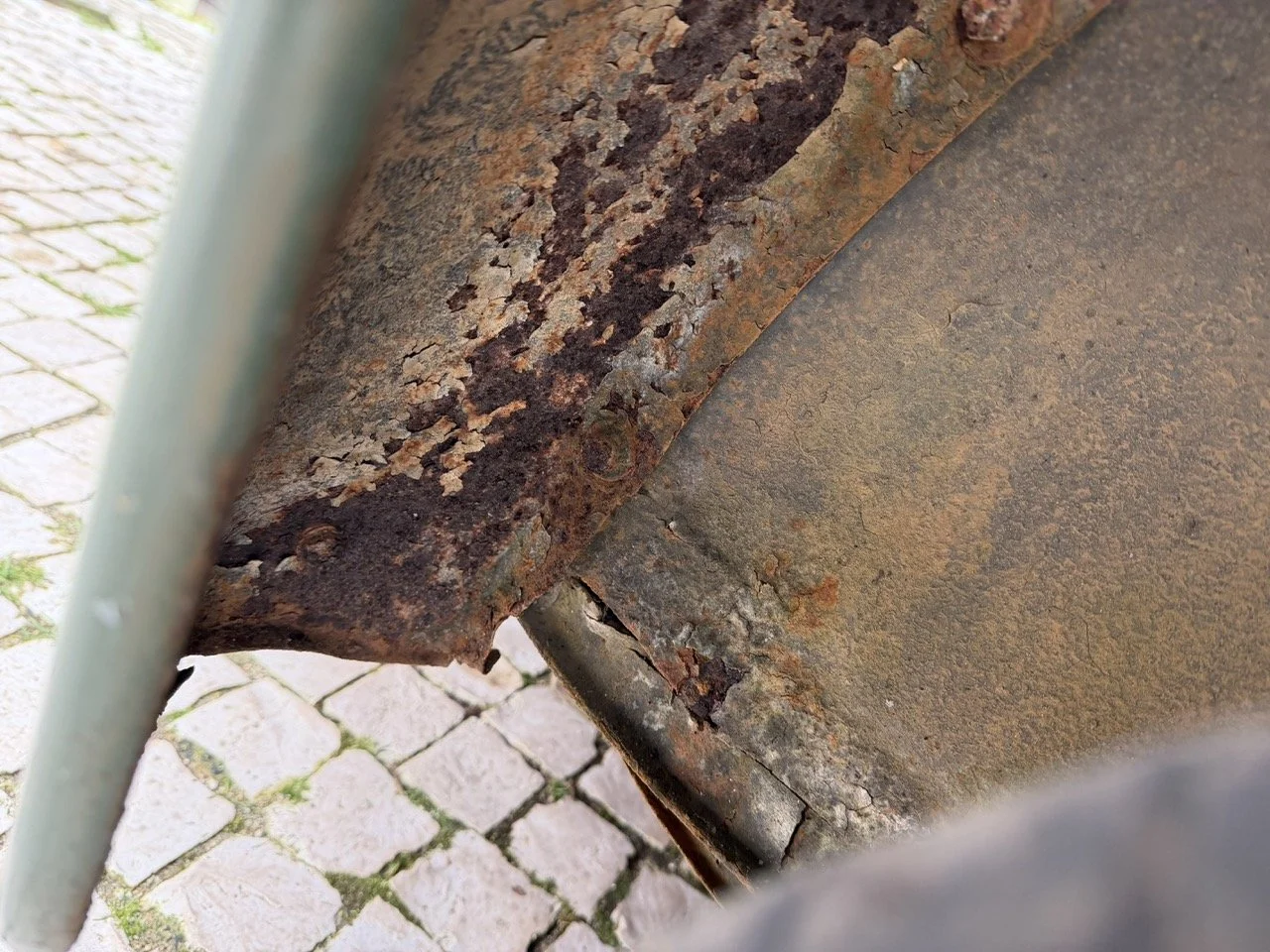 IMG_1230 – grande.jpeg