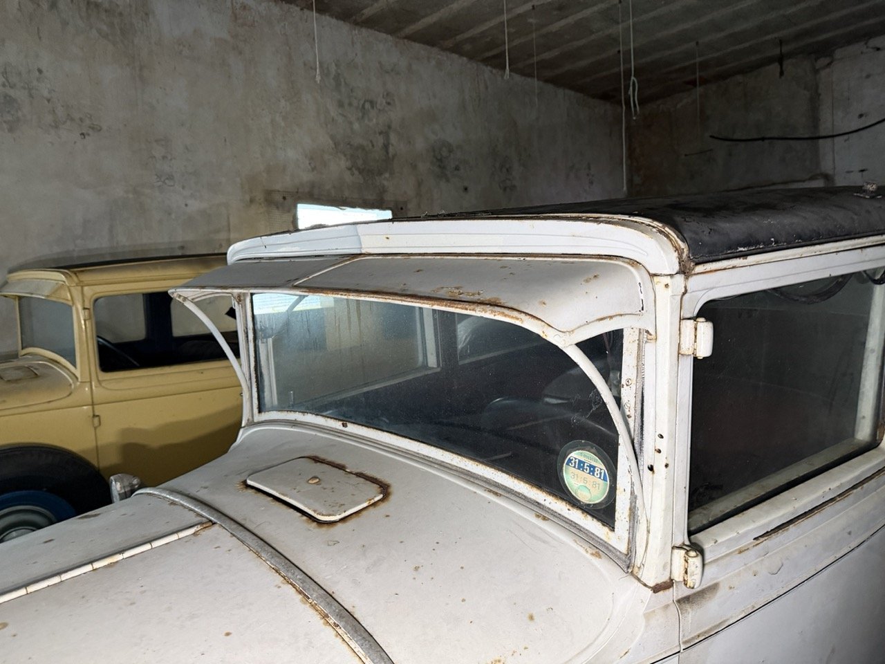 IMG_2485 – grande.jpeg