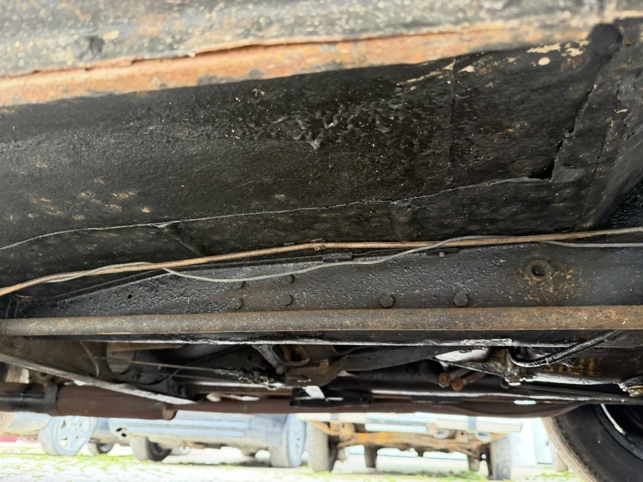 IMG_9891 – grande.jpeg