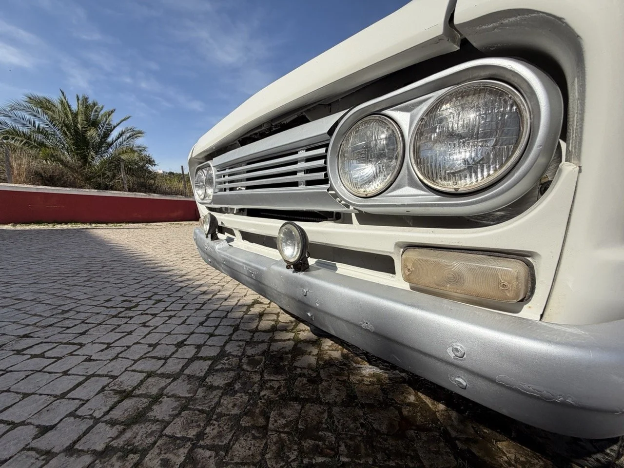 IMG_8601 2 – grande.jpeg