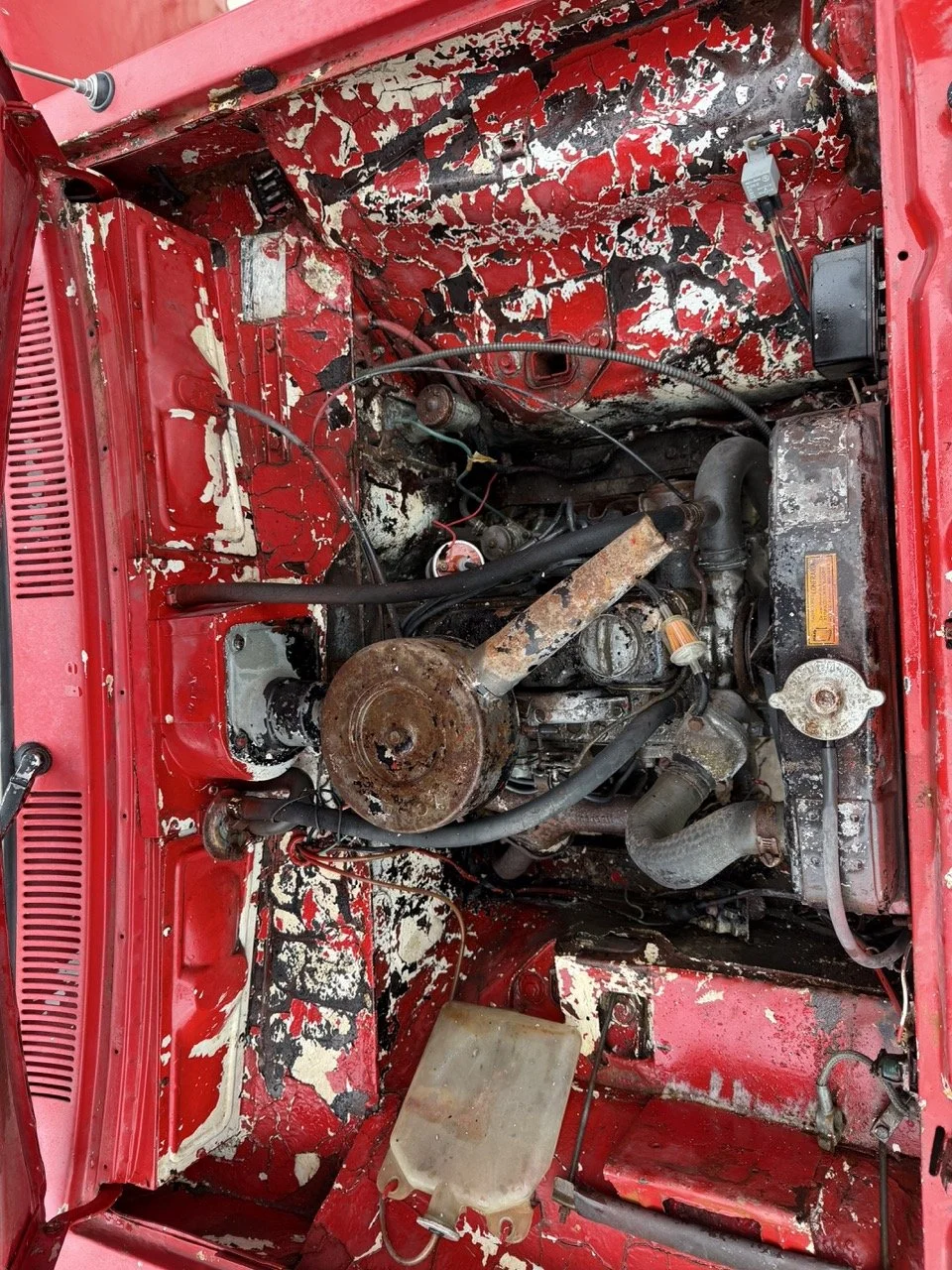 IMG_9674 – grande.jpeg