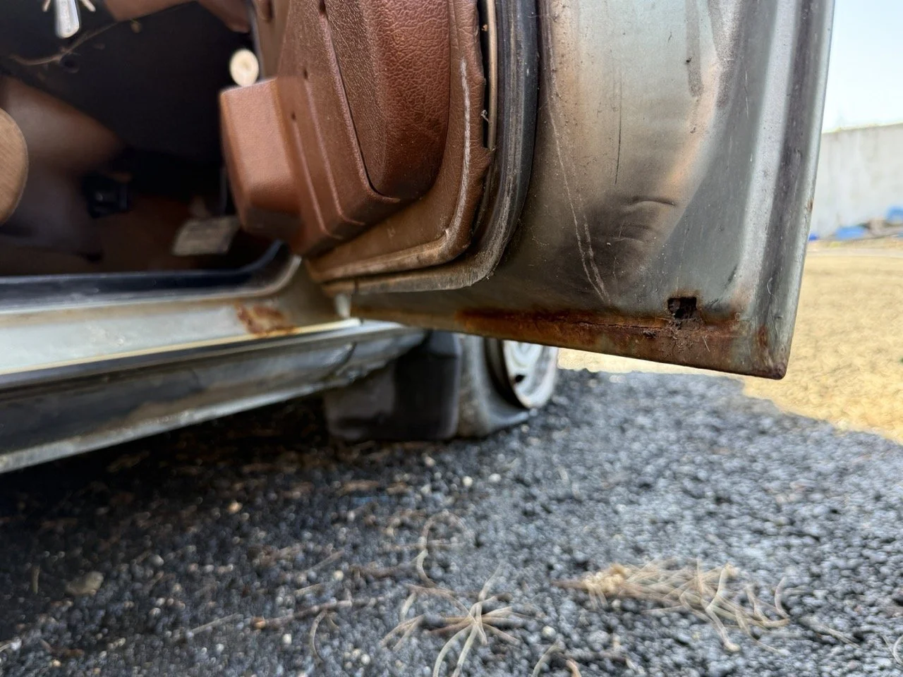 IMG_1219 – grande.jpeg