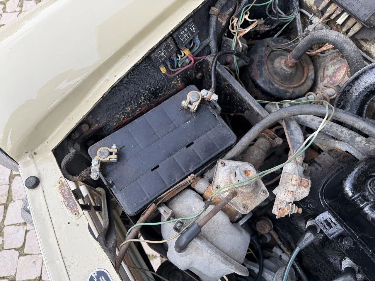 IMG_4070 – grande.jpeg