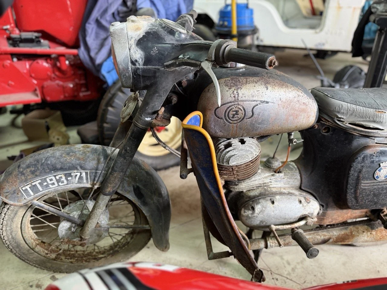 IMG_2165 – grande.jpeg