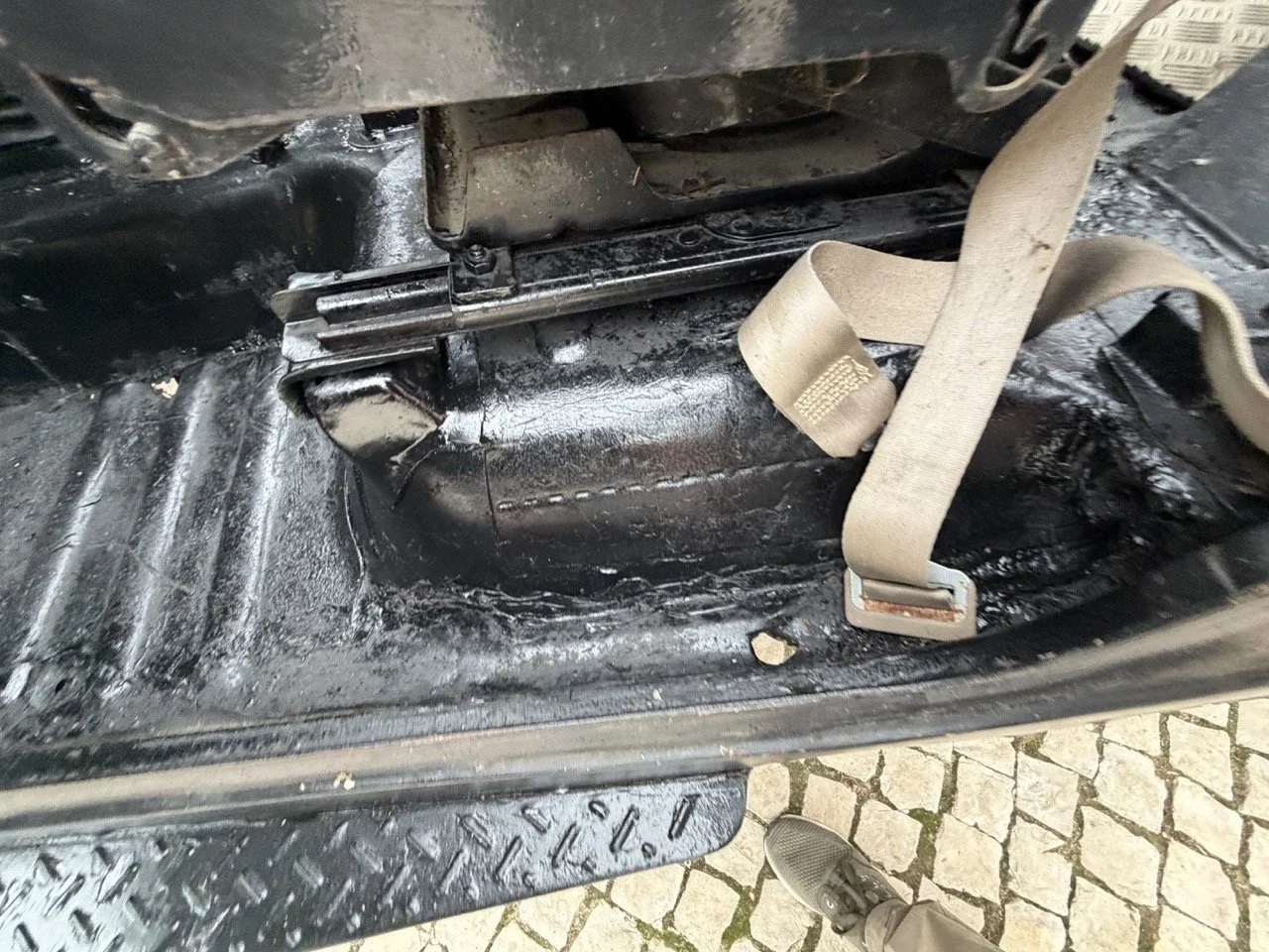 IMG_6539 – grande.jpeg