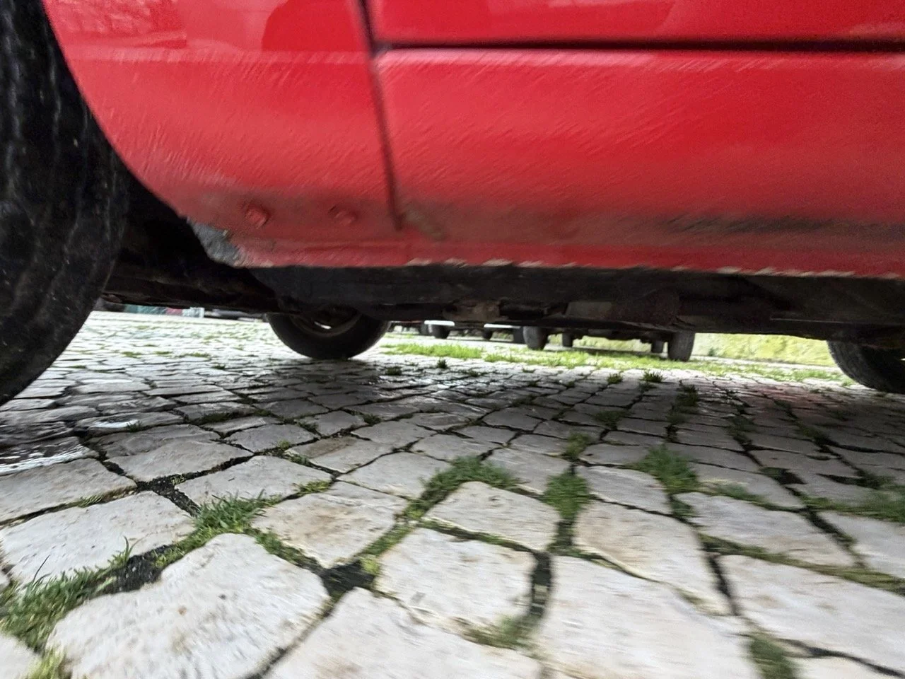 IMG_8324 – grande.jpeg