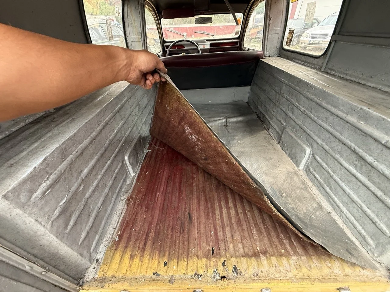 IMG_3776 – grande.jpeg