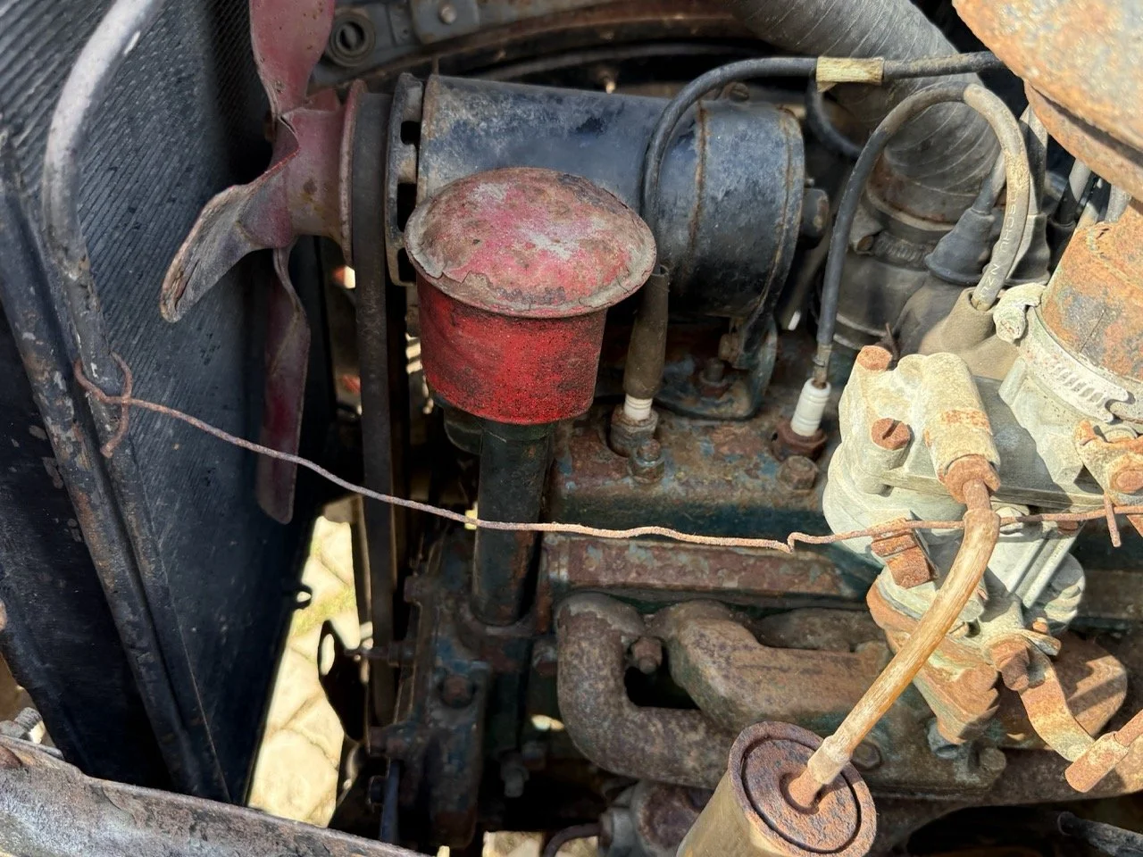 IMG_3707 – grande.jpeg