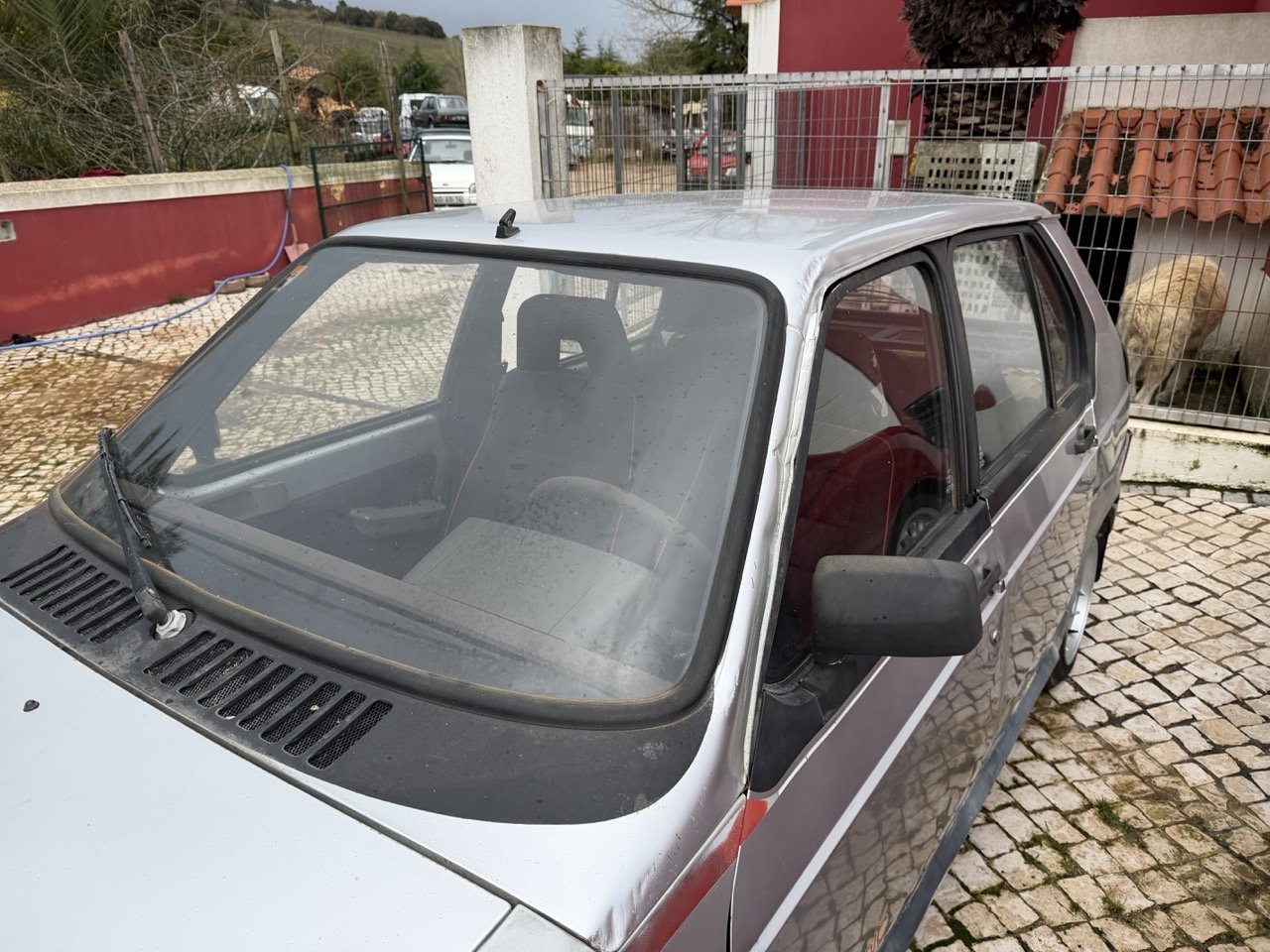 IMG_0551 – grande.jpeg