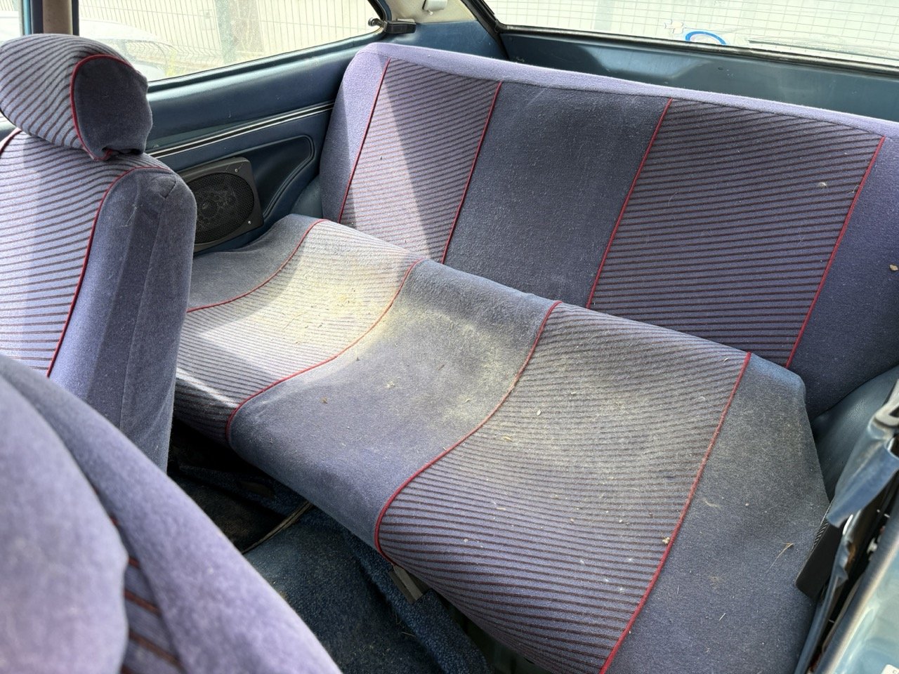 IMG_1510 – grande.jpeg