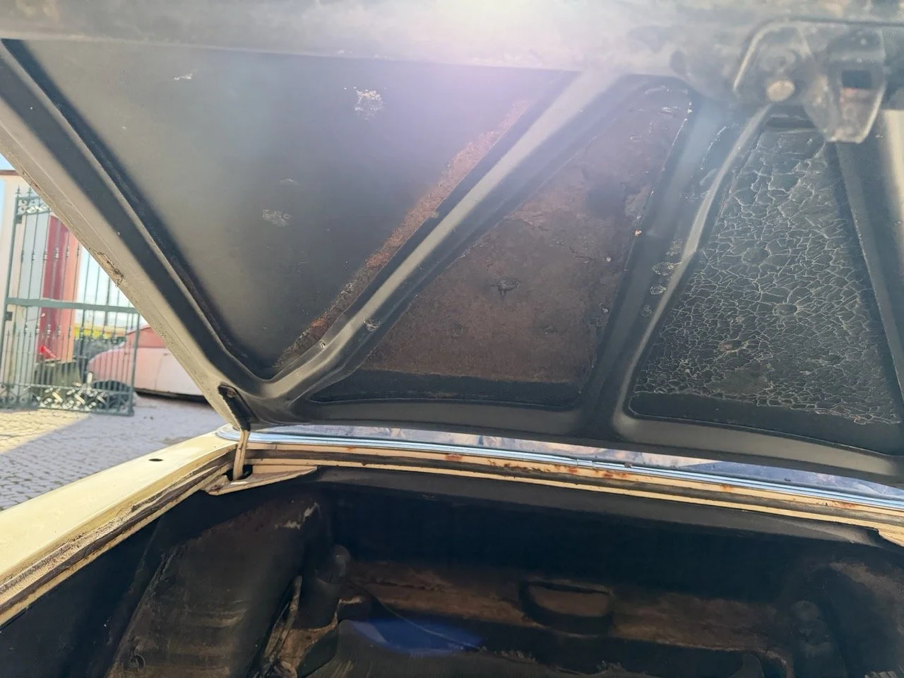 IMG_7093 – grande.jpeg