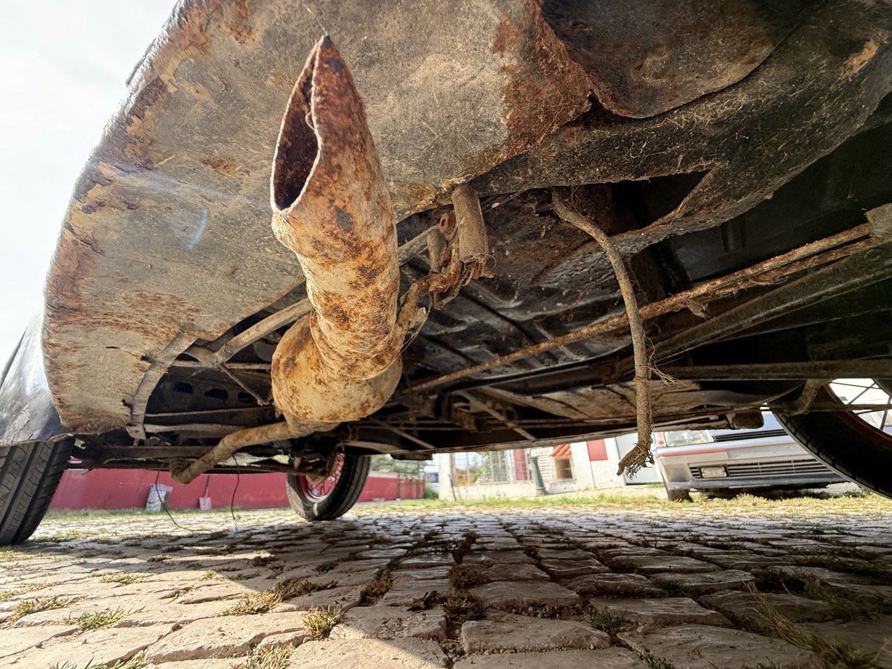 IMG_3740 – grande.jpeg