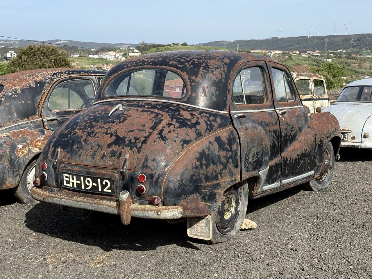 IMG_0432 – grande.jpeg