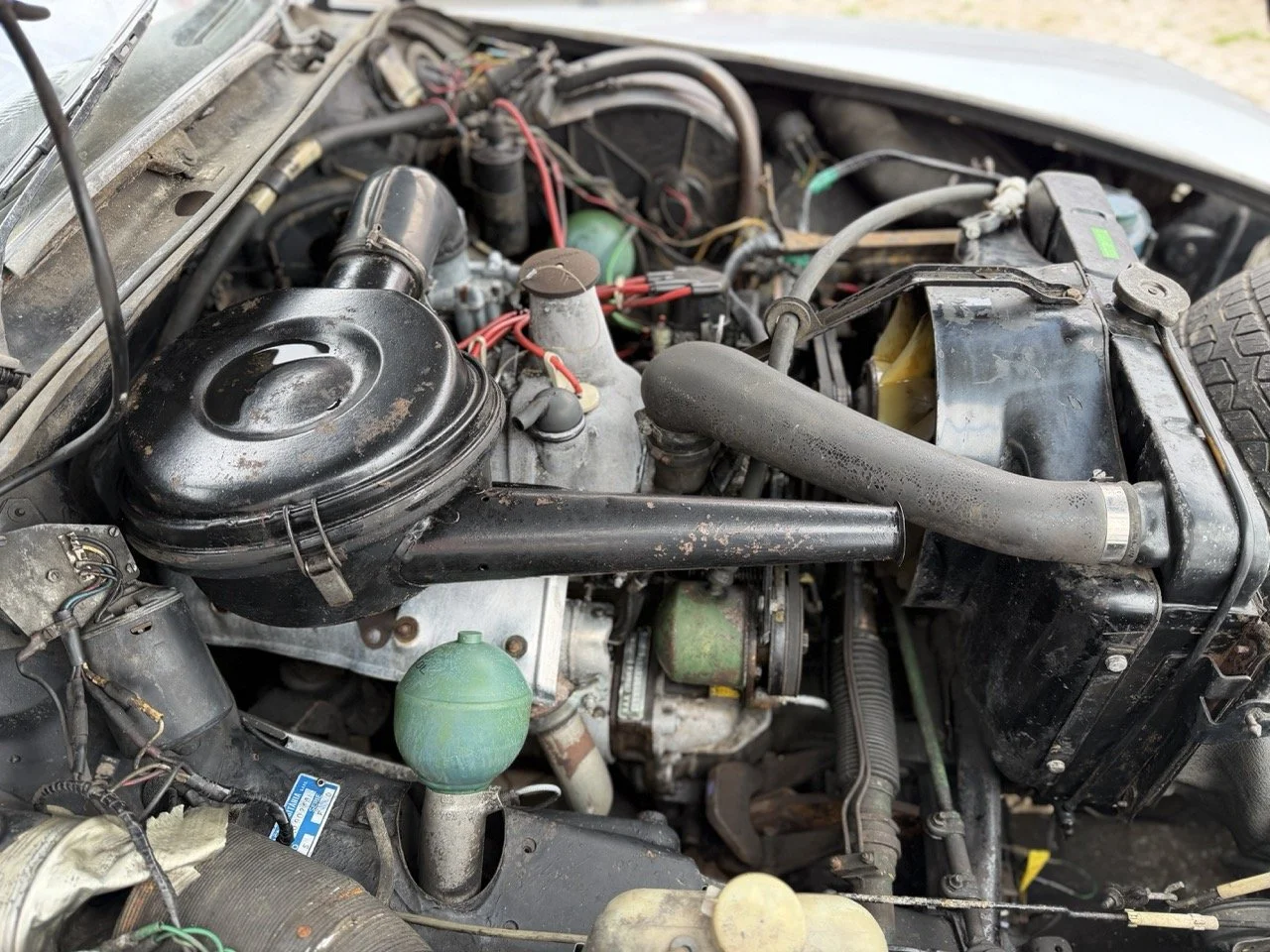 IMG_3730 – grande.jpeg