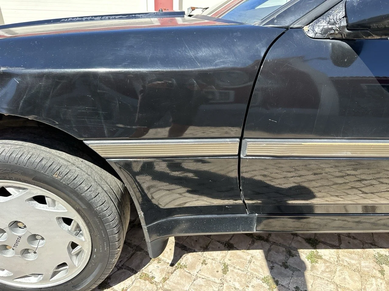 IMG_3116 – grande.jpeg