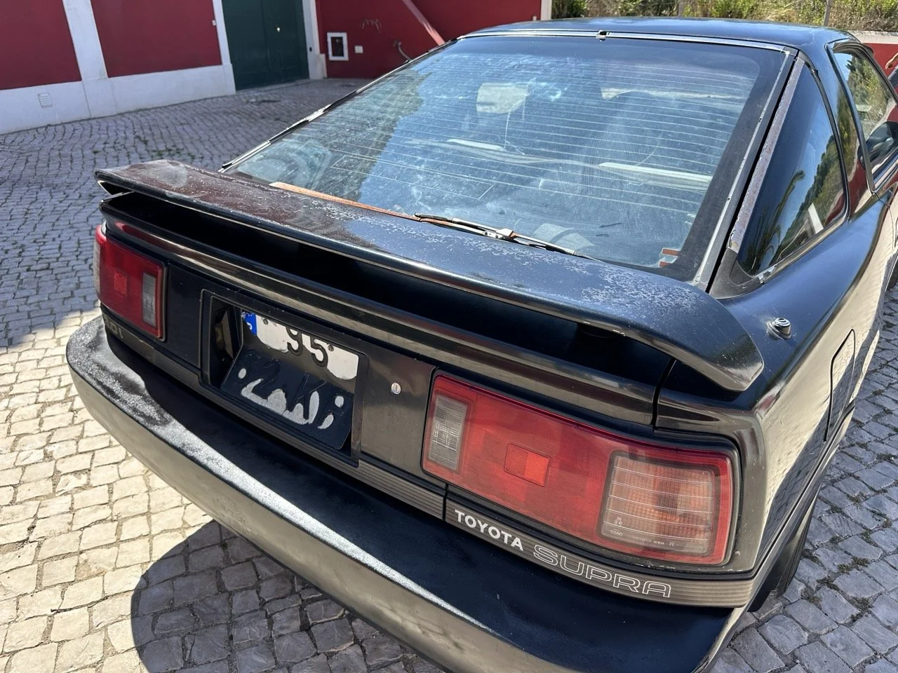 IMG_3160 – grande.jpeg