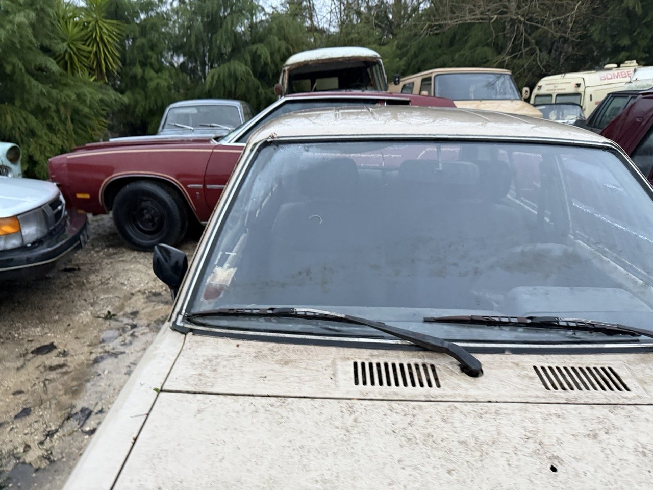 IMG_0258 – grande.jpeg