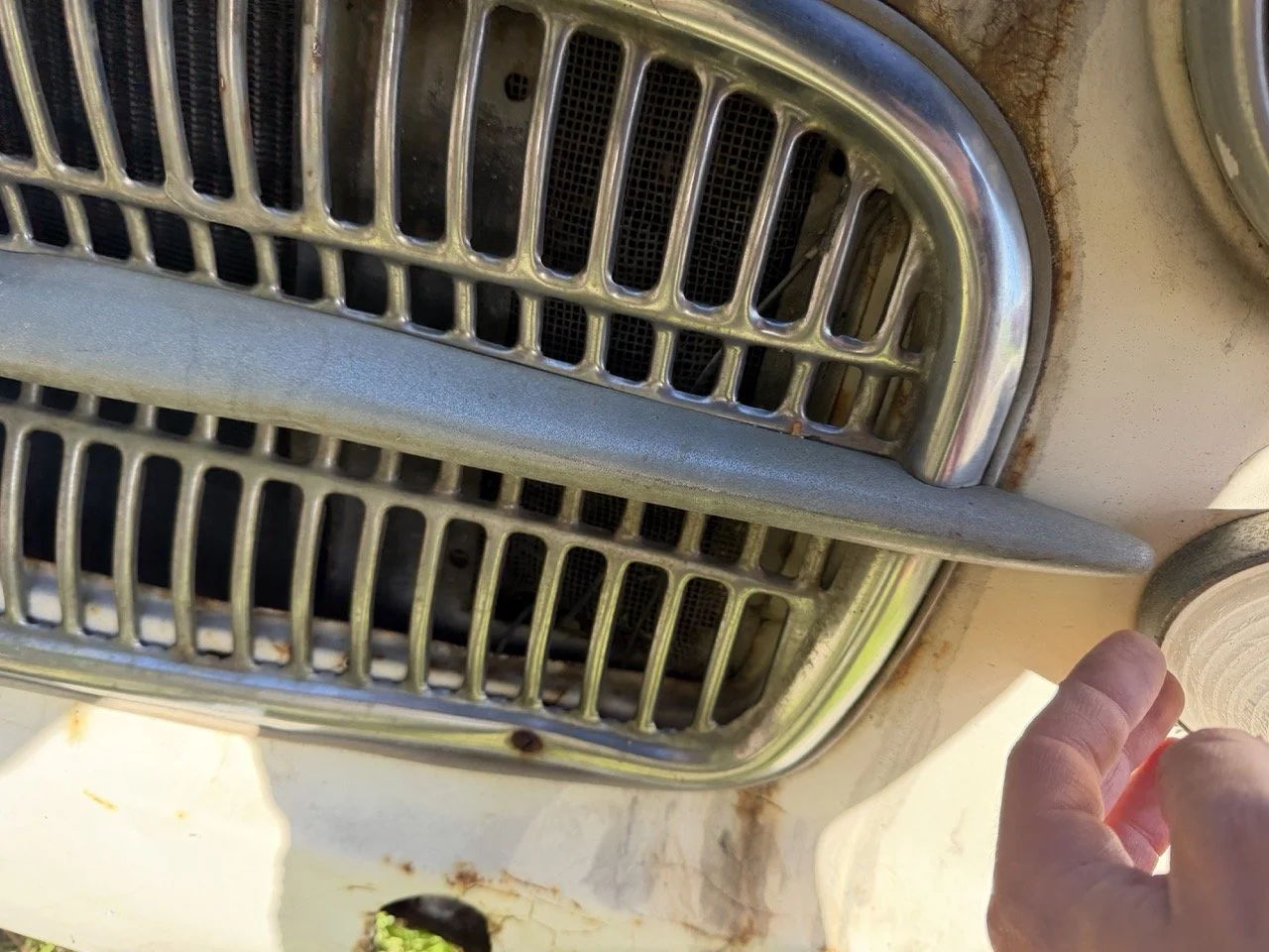 IMG_2526 – grande.jpeg