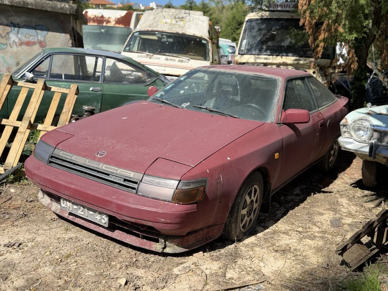 IMG_7610 – grande.jpeg