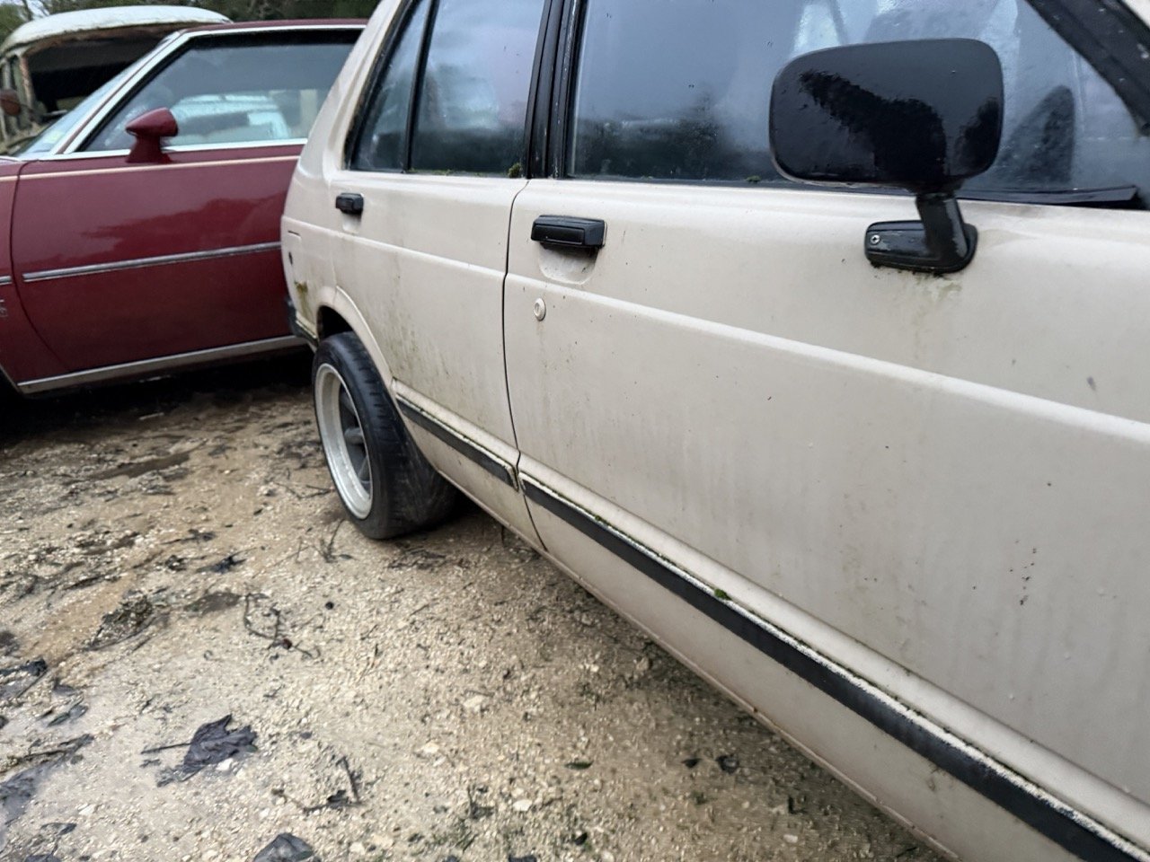 IMG_0209 – grande.jpeg