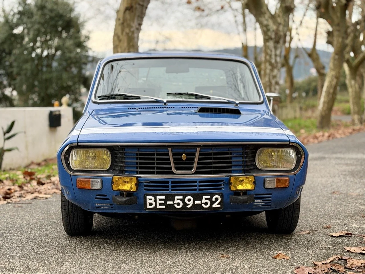 IMG_6169 2 – grande.jpeg