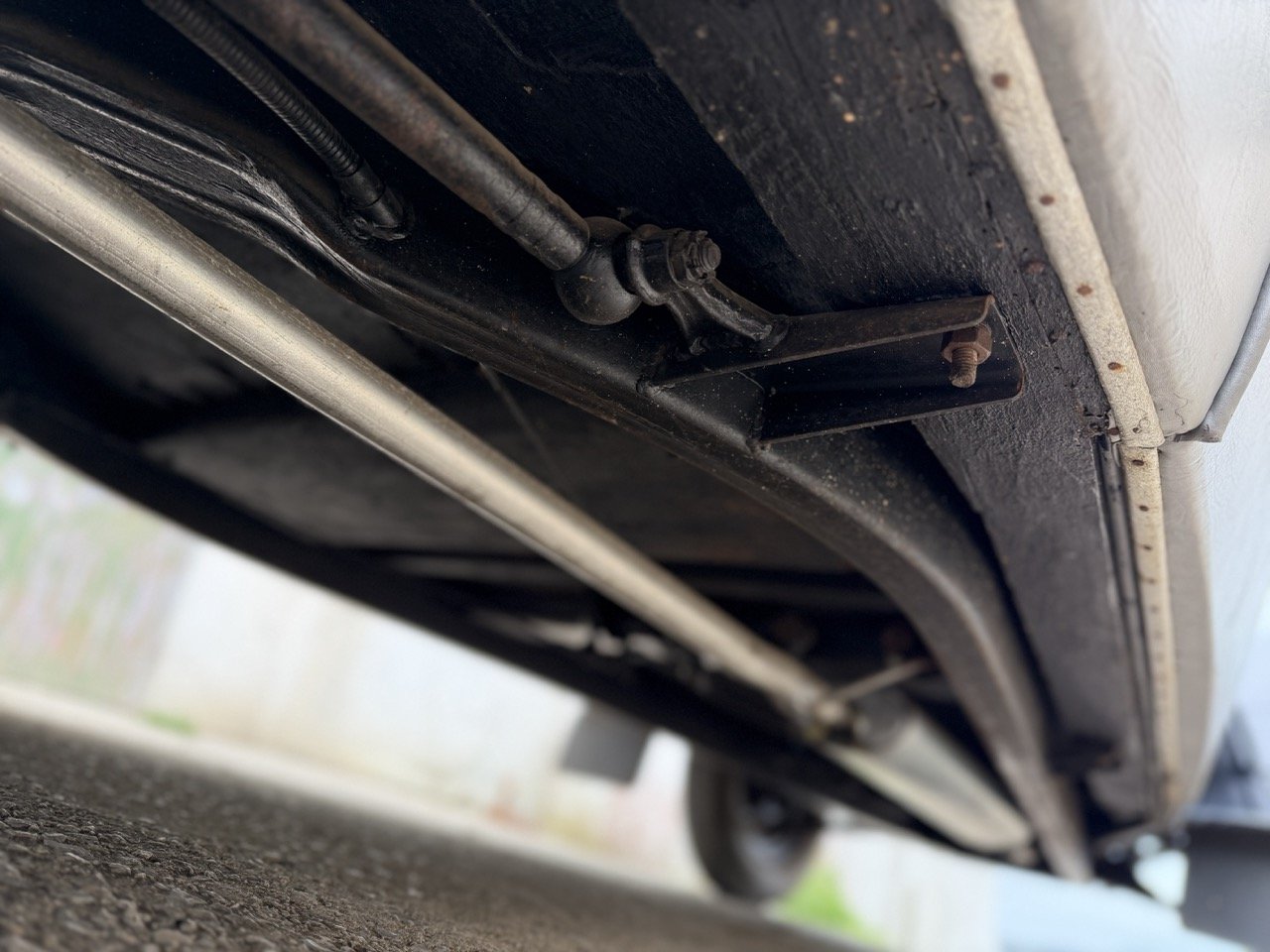 IMG_1484 – grande.jpeg