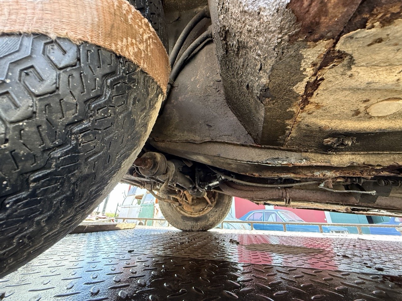 IMG_3485 – grande.jpeg