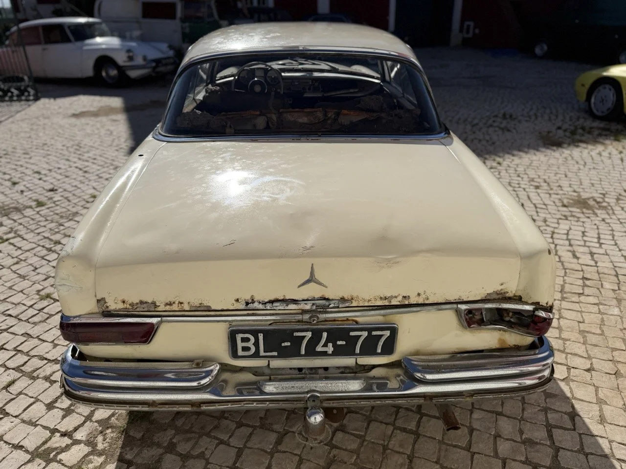 IMG_7003 – grande.jpeg