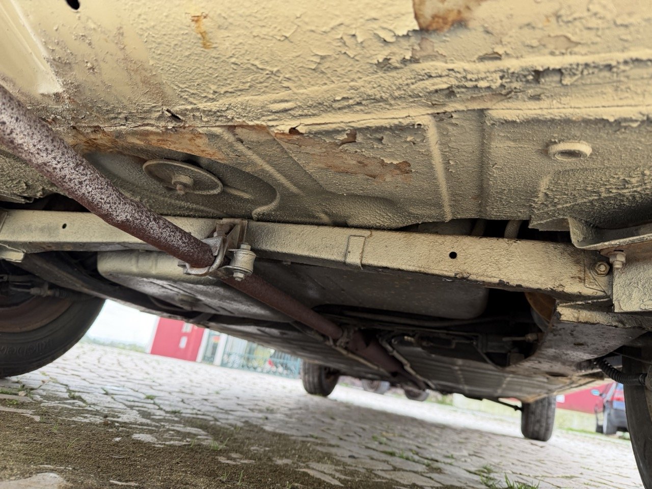 IMG_4111 – grande.jpeg