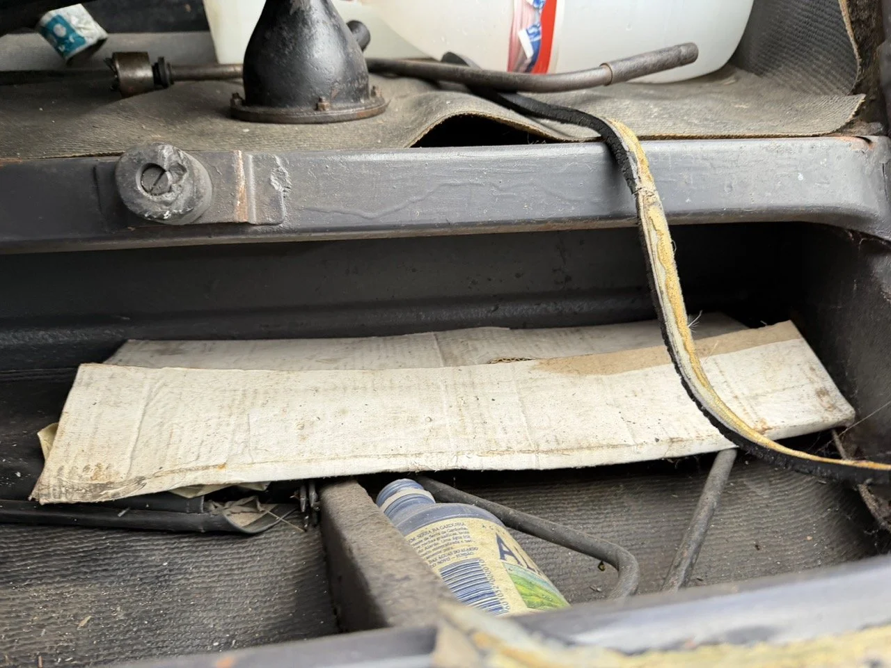 IMG_1867 – grande.jpeg