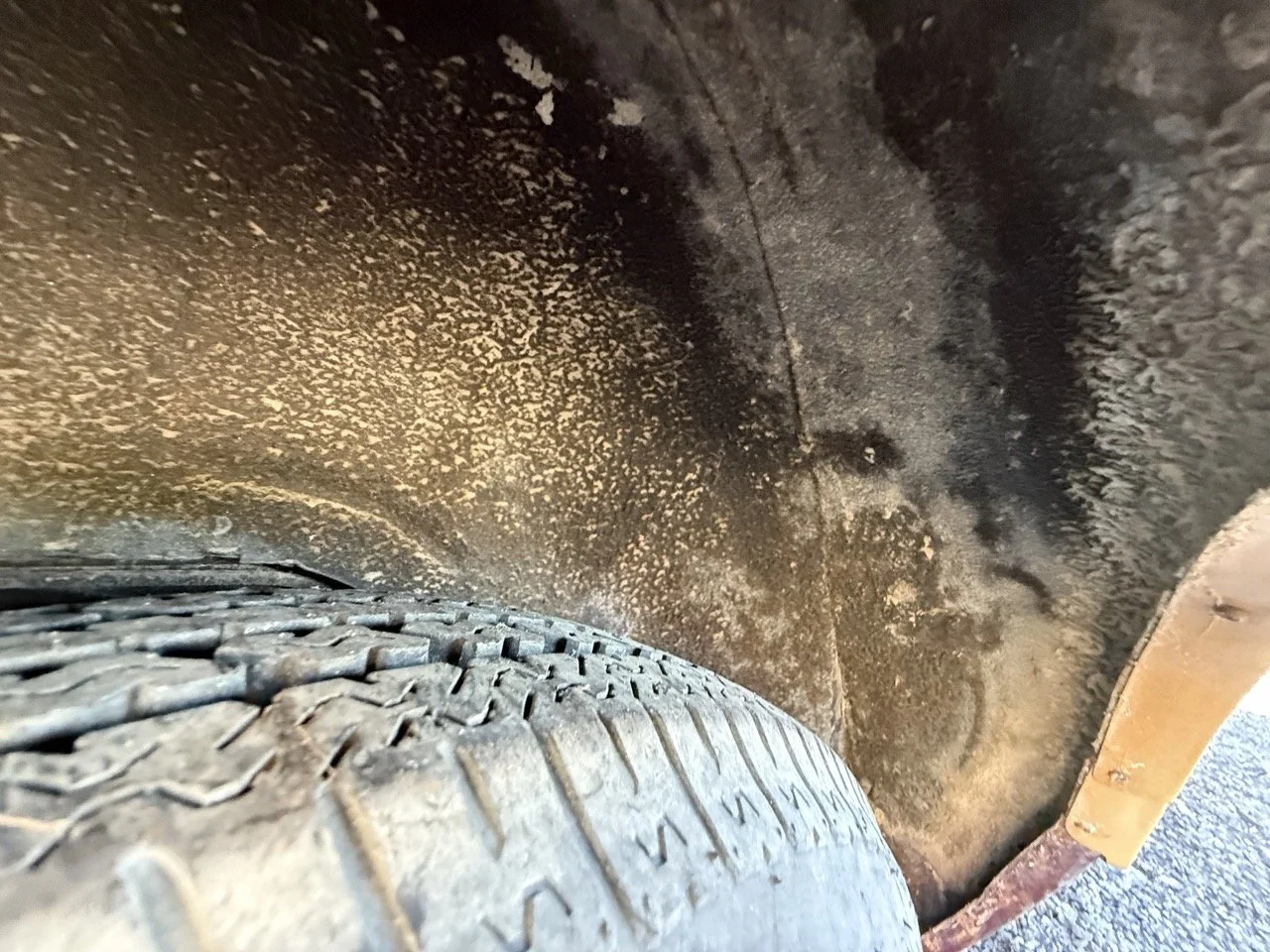 IMG_3069 – grande.jpeg