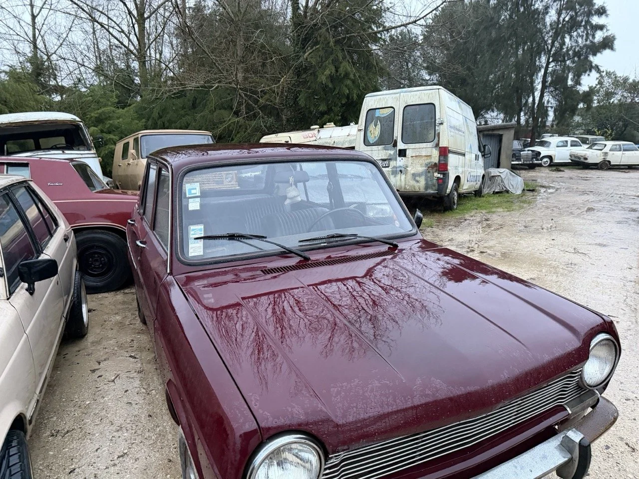 IMG_0266 – grande.jpeg