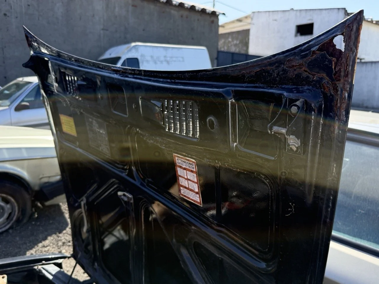 IMG_2933 – grande.jpeg