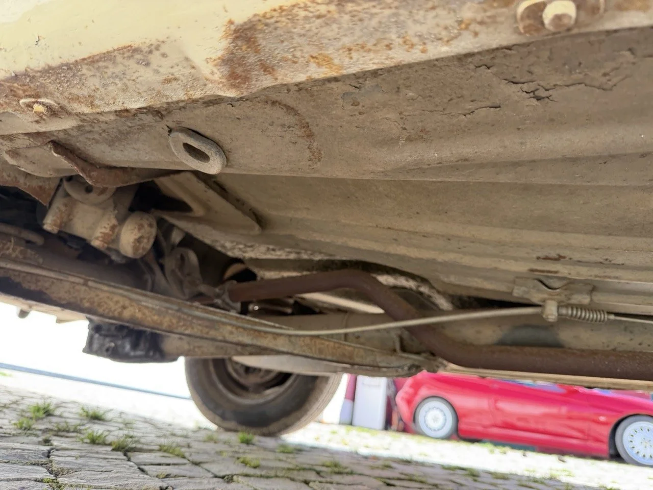 IMG_6751 – grande.jpeg