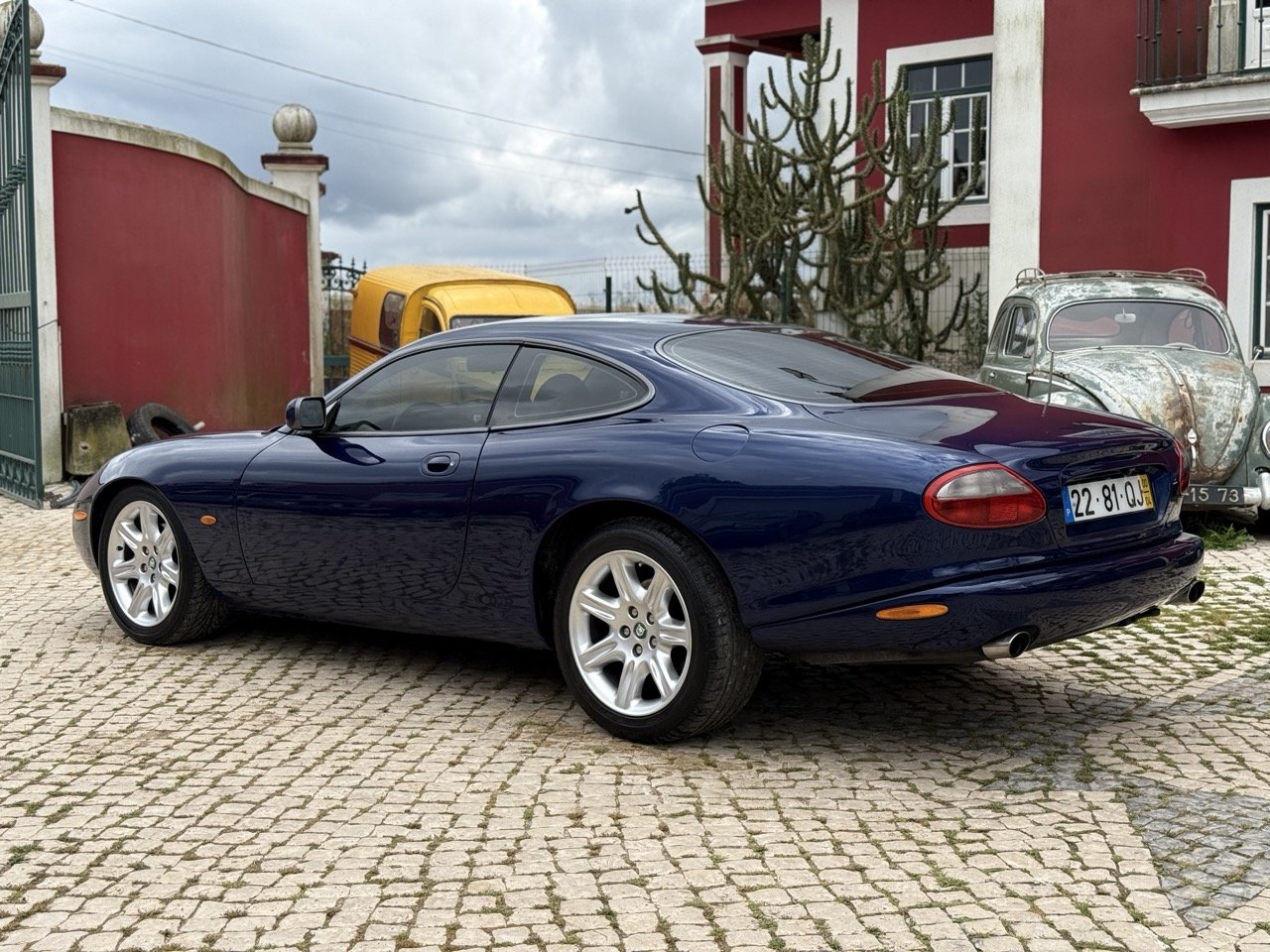 IMG_4028 – grande.jpeg