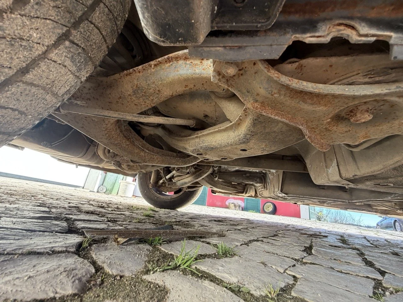 IMG_2822 – grande.jpeg