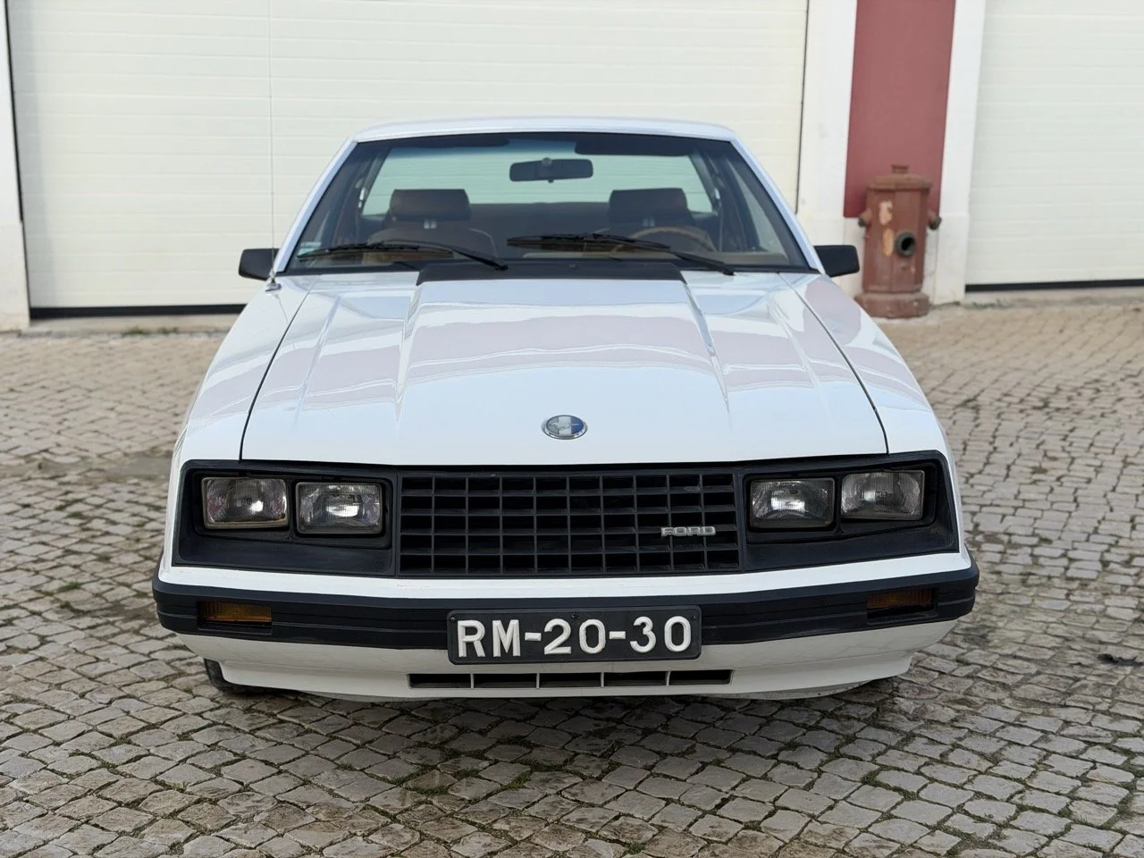 IMG_4137 – grande.jpeg