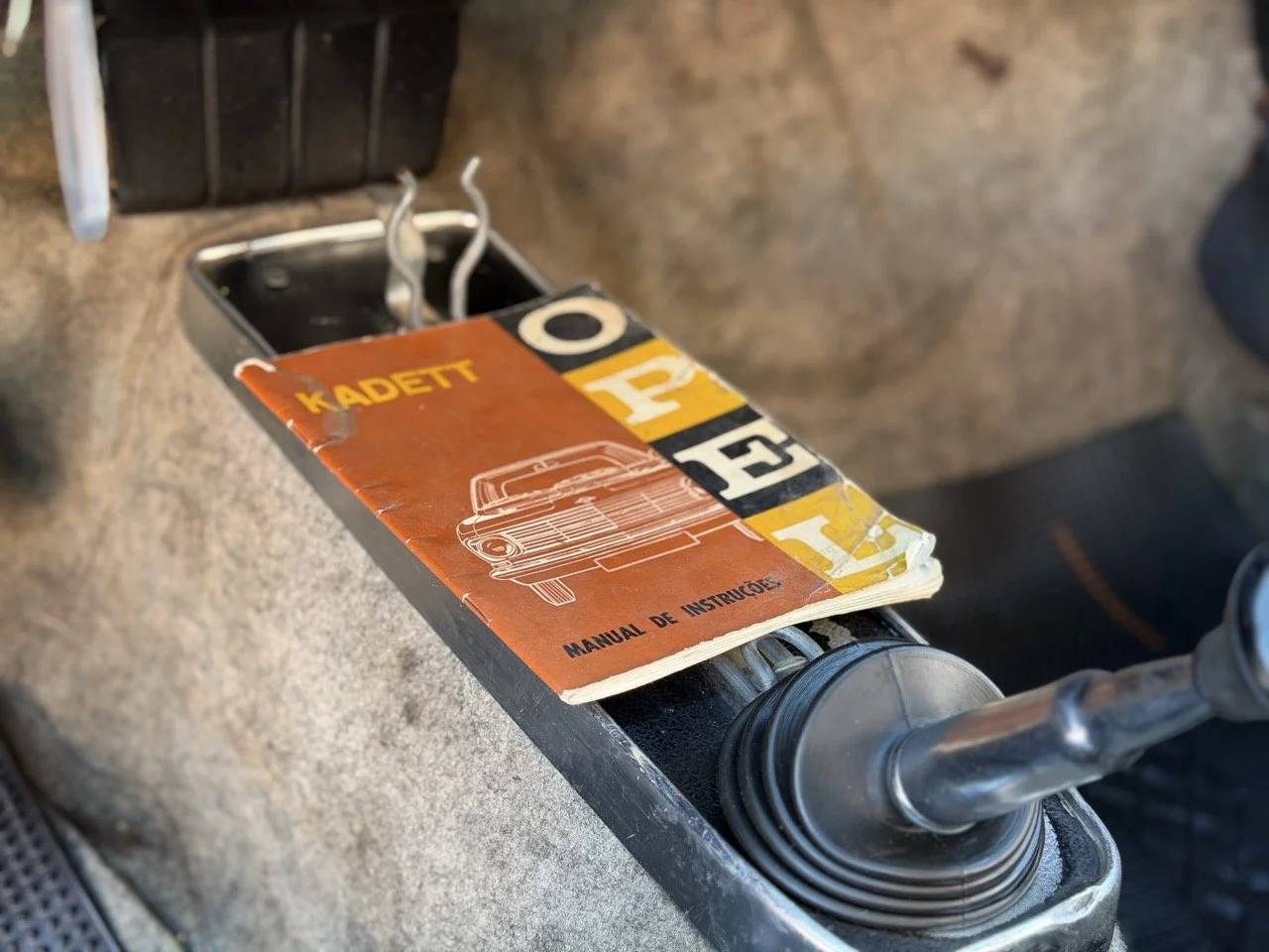 IMG_7706 – grande.jpeg