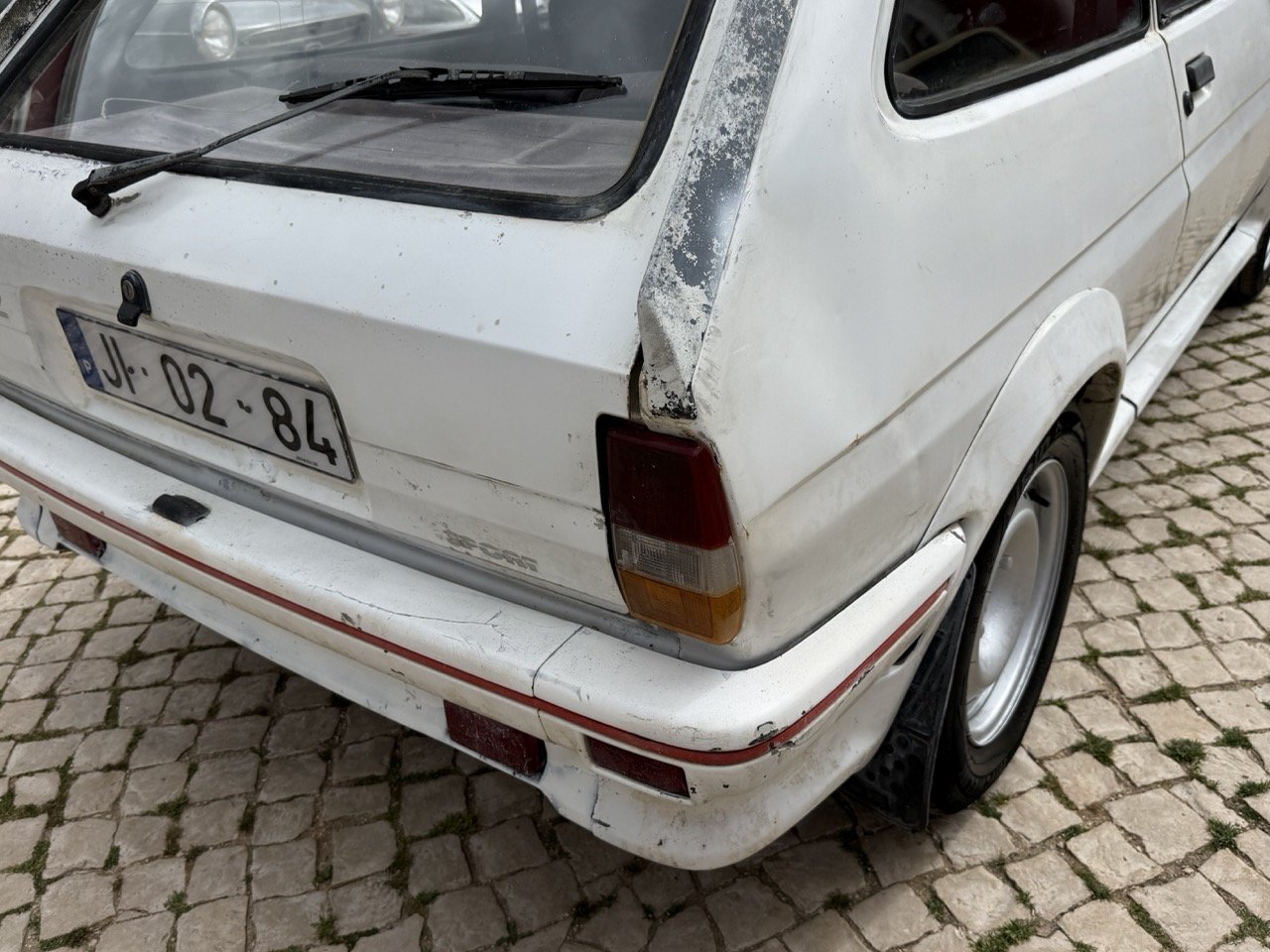 IMG_8593 – grande.jpeg