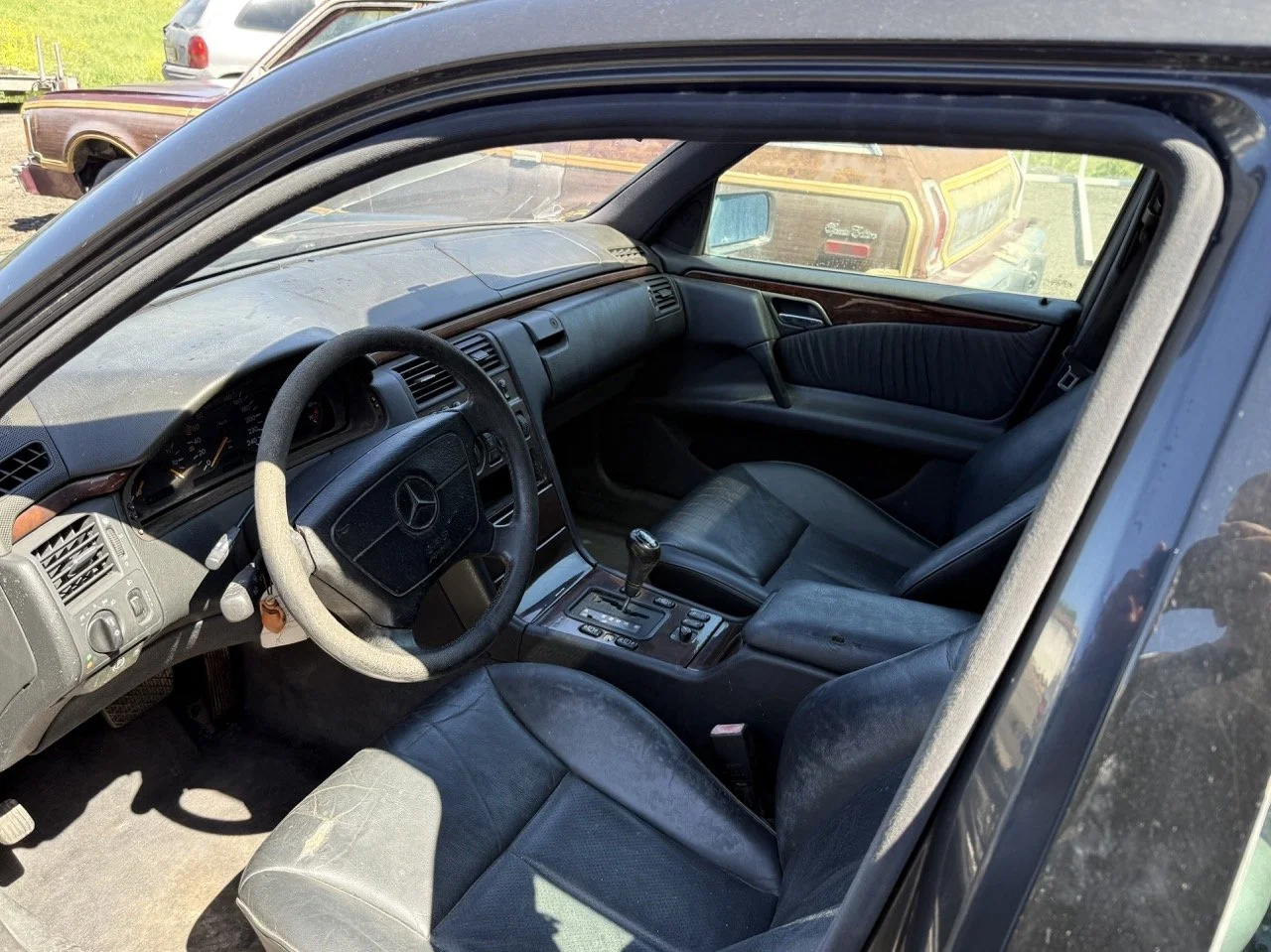 IMG_1731 – grande.jpeg