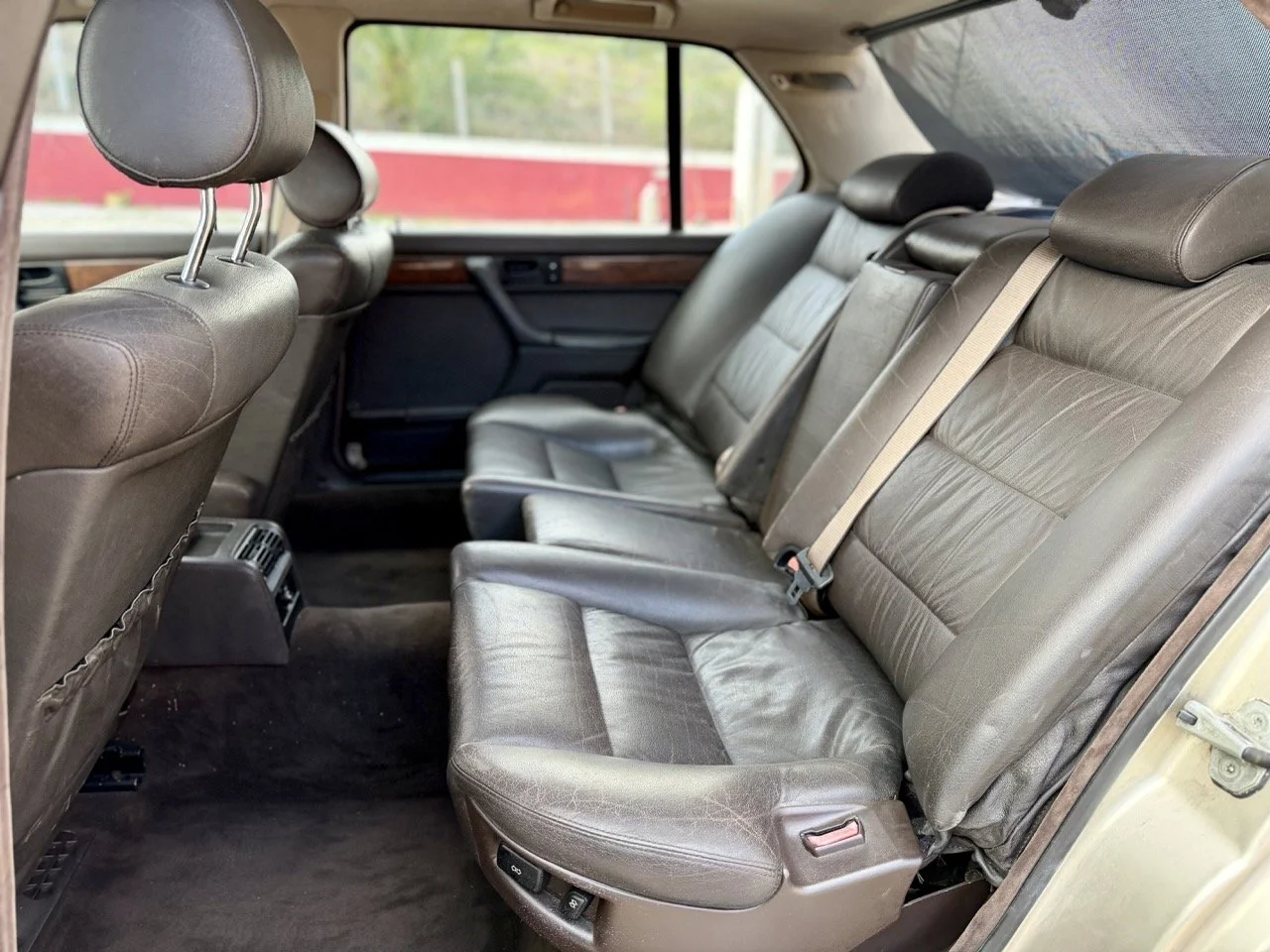 IMG_6918 – grande.jpeg