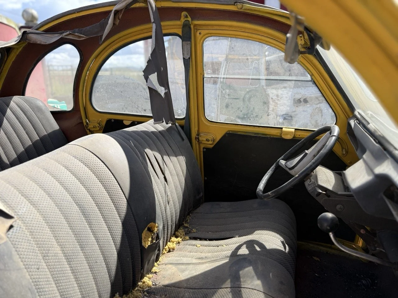 IMG_9120 – grande.jpeg