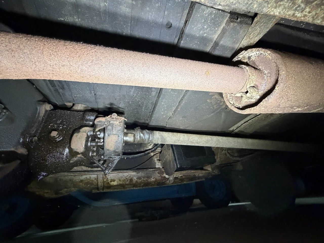 IMG_2498 – grande.jpeg