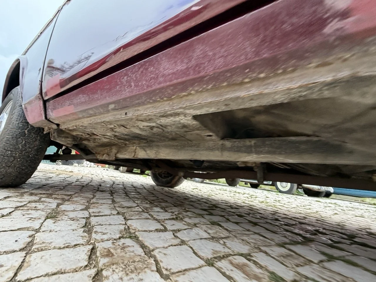 IMG_4953 – grande.jpeg