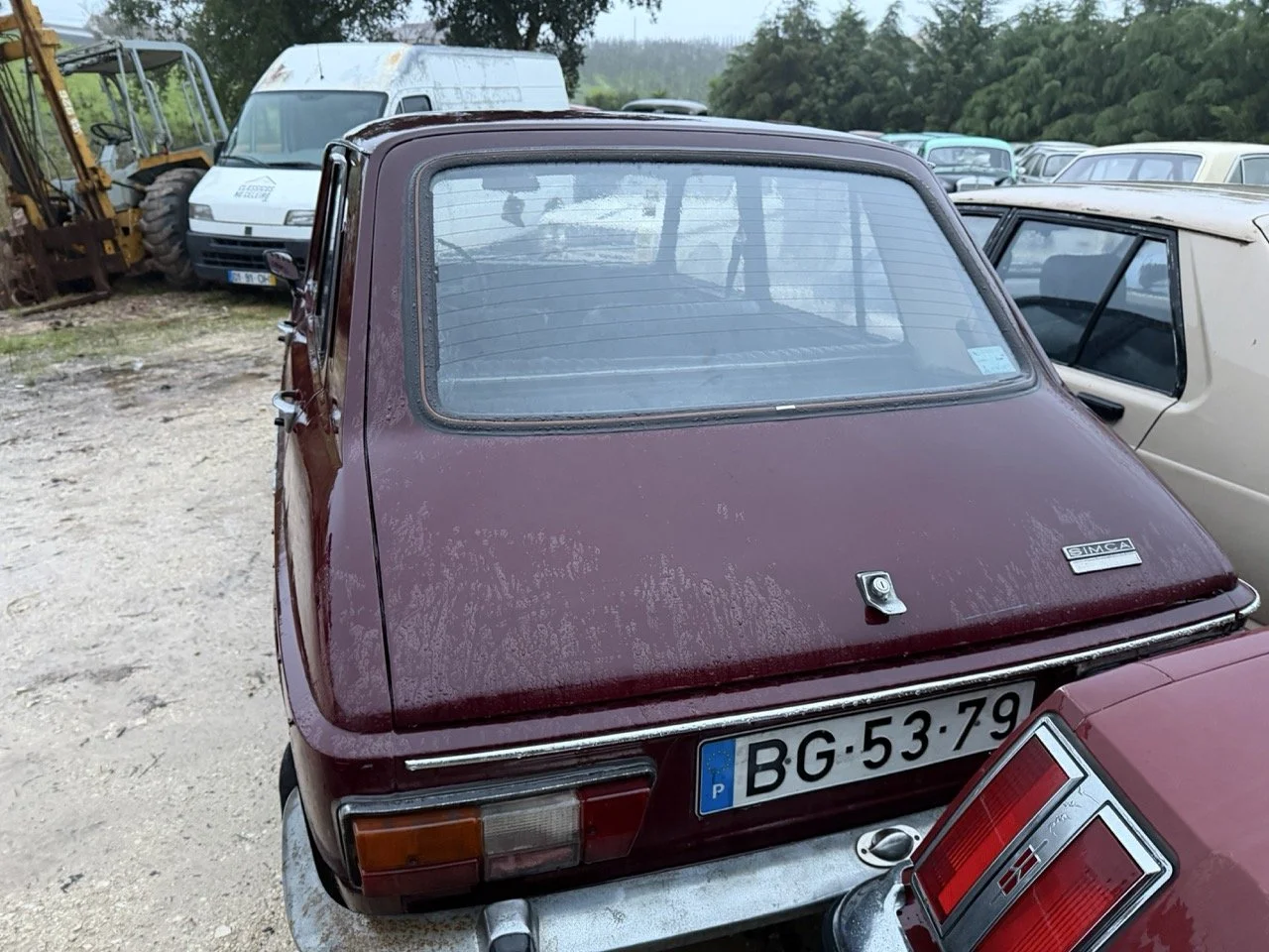 IMG_0314 – grande.jpeg