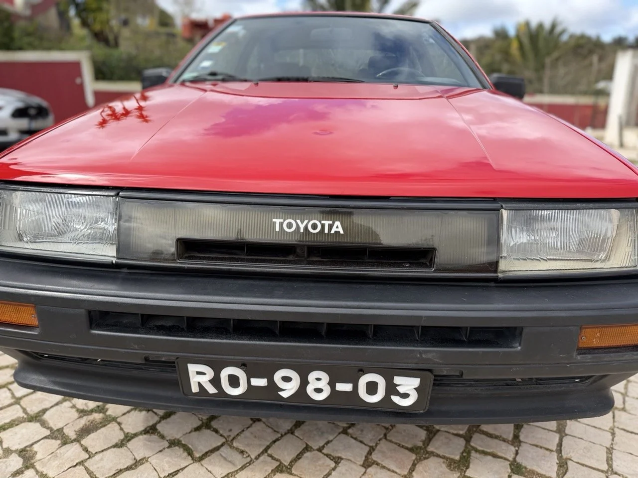 IMG_2386 – grande.jpeg