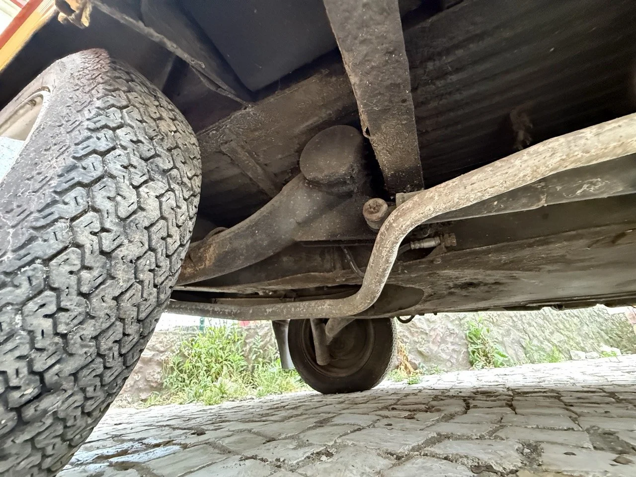 IMG_3811 – grande.jpeg