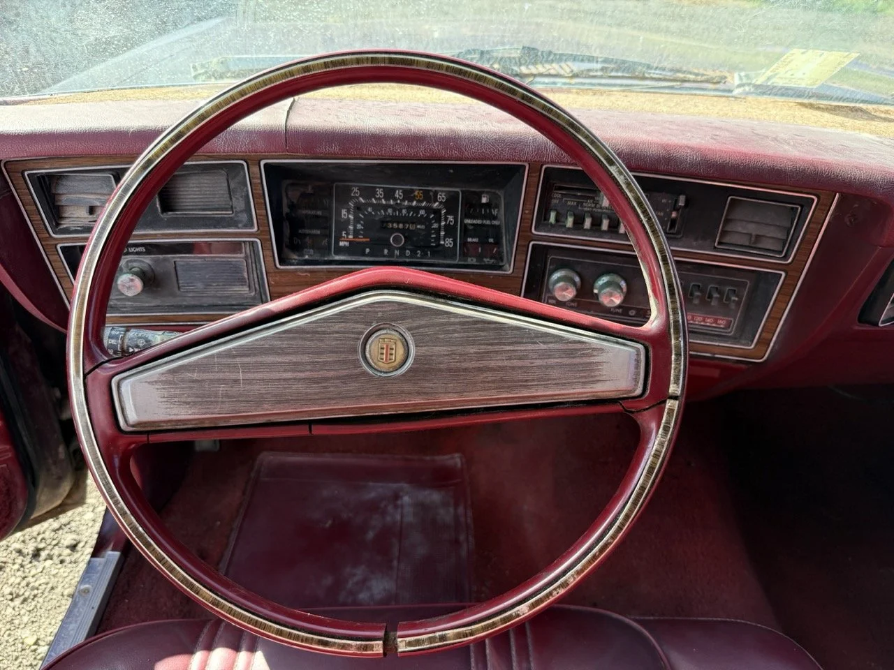 IMG_3017 – grande.jpeg