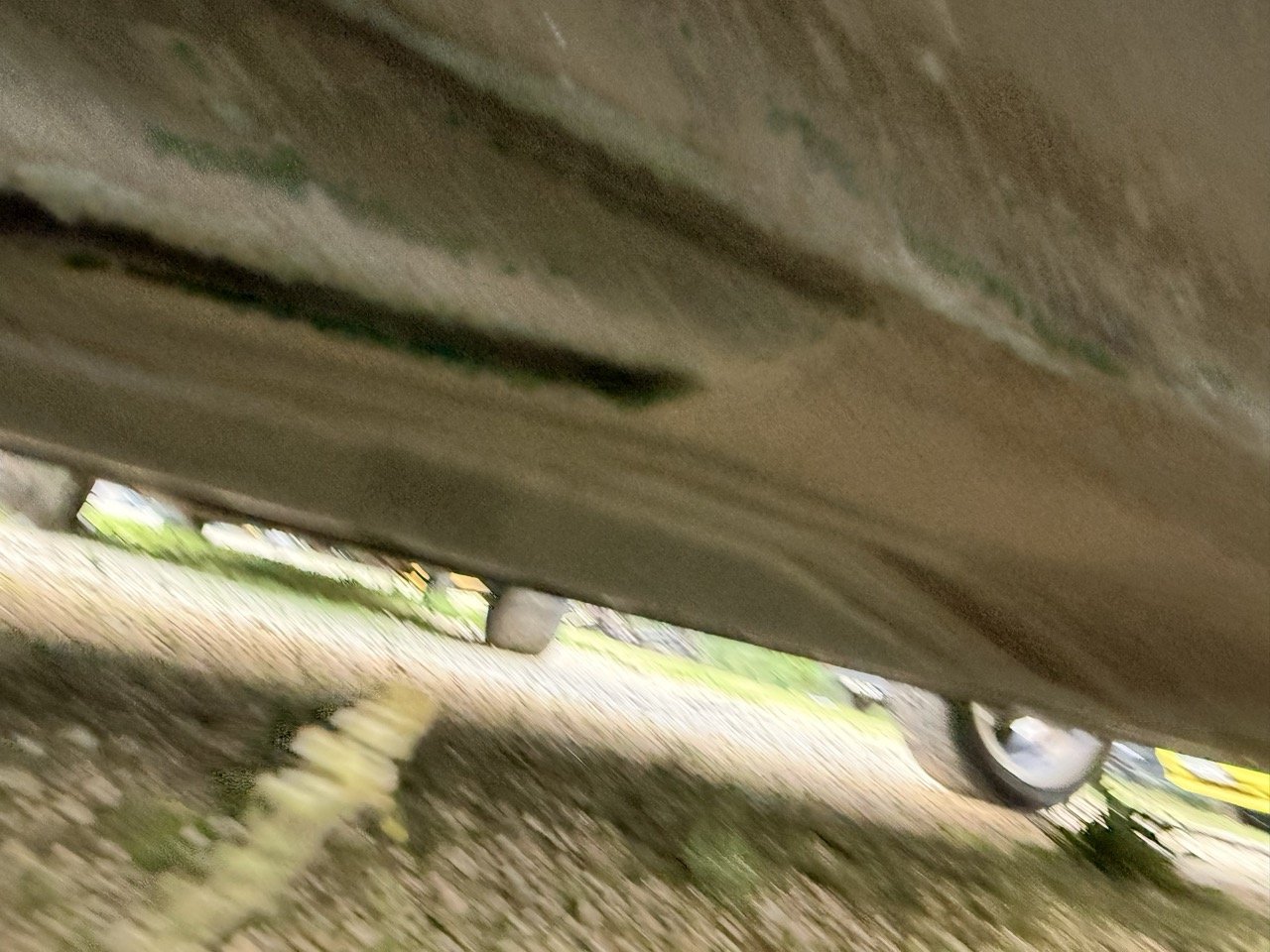 IMG_5340 – grande.jpeg