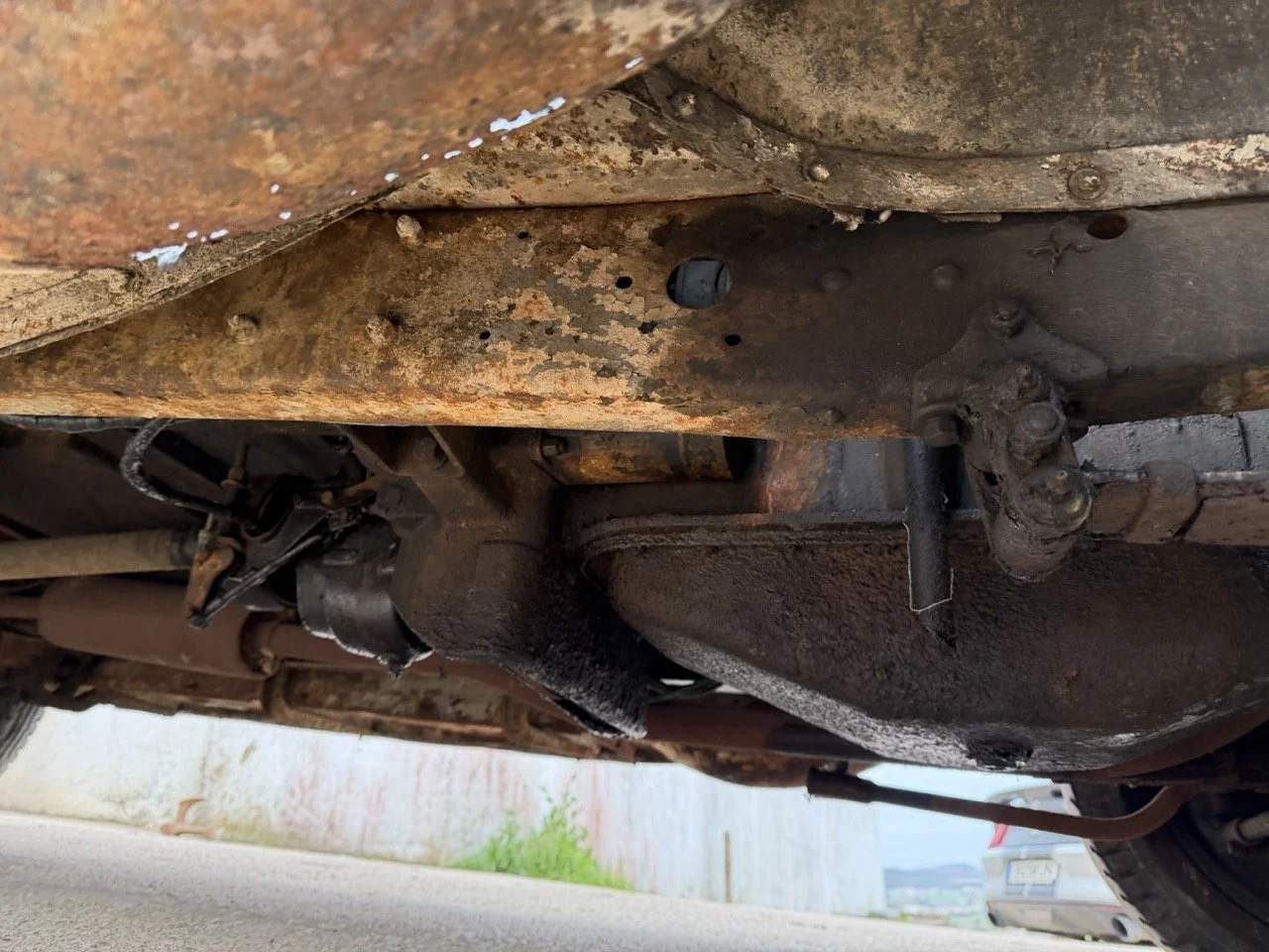 IMG_1657 – grande.jpeg